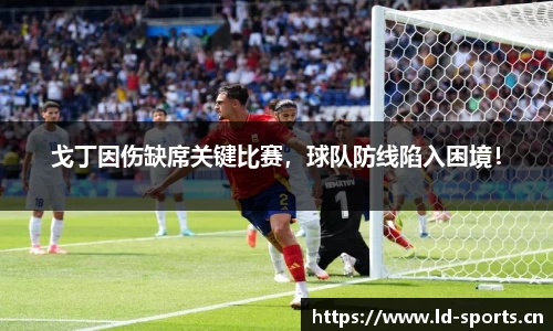 戈丁因伤缺席关键比赛，球队防线陷入困境！
