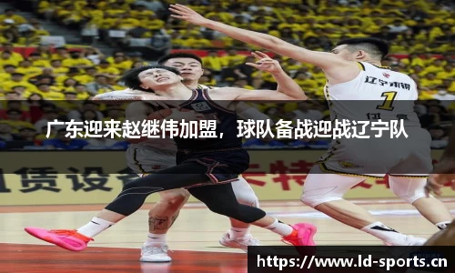 ld乐动体育平台