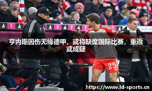 亨内斯因伤无缘德甲，或将缺席国际比赛，重返或成疑