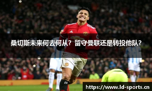 ld乐动体育平台