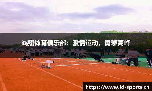 ld乐动体育平台