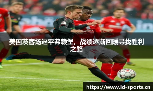ld乐动体育