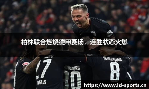 ld乐动体育