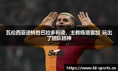ld乐动体育平台