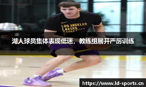 ld乐动体育官网