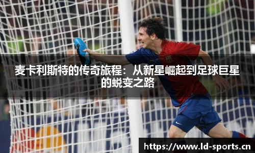 ld乐动体育平台