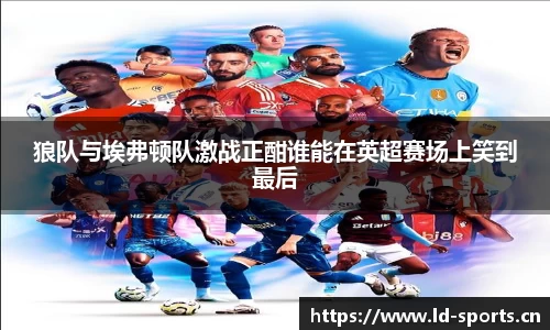 狼队与埃弗顿队激战正酣谁能在英超赛场上笑到最后