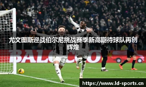 ld乐动体育