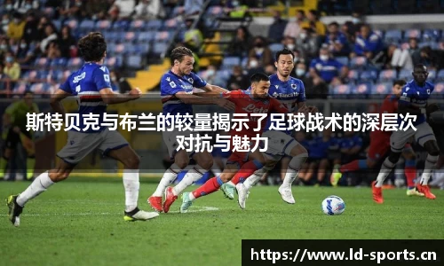 ld乐动体育官网