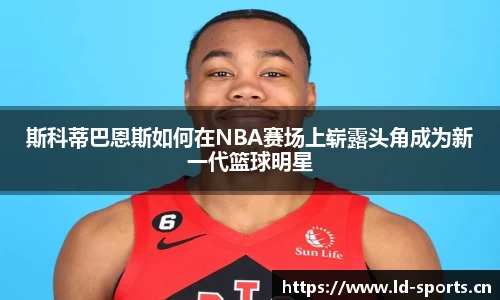 ld乐动体育