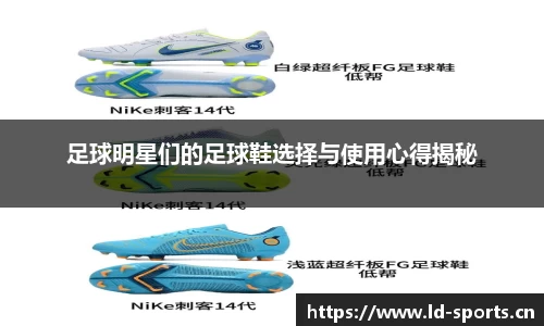 ld乐动体育
