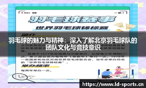 羽毛球的魅力与精神：深入了解北京羽毛球队的团队文化与竞技意识