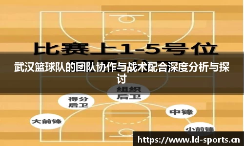 武汉篮球队的团队协作与战术配合深度分析与探讨