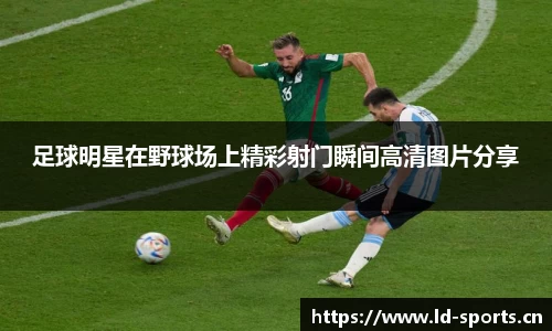 ld乐动体育官网