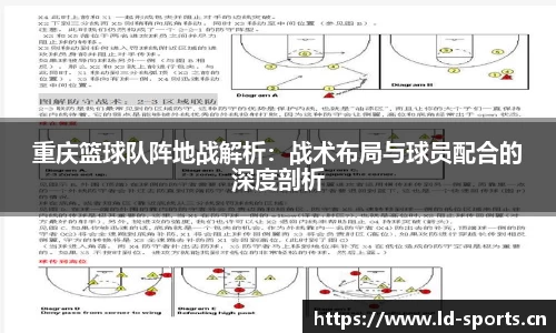 ld乐动体育平台