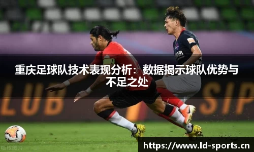 ld乐动体育平台